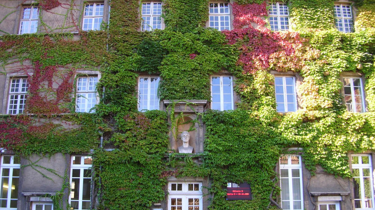 Des locaux dans un bâtiment historique de la cité lamartinienne