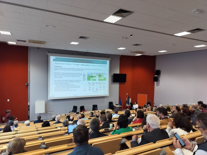 Conférence TE