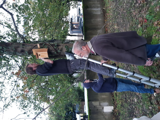 Installation des nichoirs dans le parc 