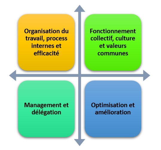 L'analyse peut être structurée selon 4 axes de questionnement : L'organisation du travail, les process internes et l'efficacité. Le fonctionnement du collectif, la culture et les valeurs communes. Le management et la question de la délégation. L'optimisation et l'amélioration.