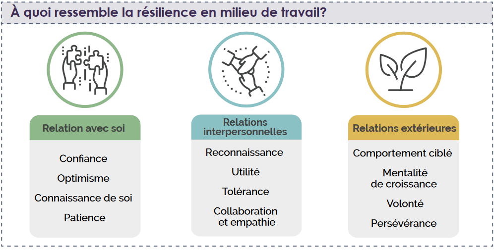 Relation avec soi: confiance, optimisme, connaissance de soi, patience. Relations interpersonnelles: reconnaissance, utilité, tolérance, collaboration et empathie. Relations extérieures: comportement ciblé, mentalité de croissance, volonté, persévérance.