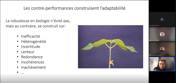 Olivier Hamant révèle de nombreuses informations contre intuitives sur le fonctionnement du vivant. Passionnant ! Olivier Hamant révèle de nombreuses informations contre intuitives sur le fonctionnement du vivant. Passionnant !