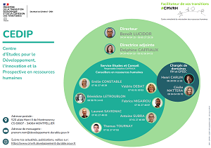 Organigramme du CEDIP